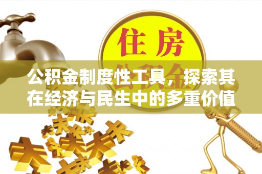 娄星公积金制度性工具，探索其在经济与民生中的多重价值
