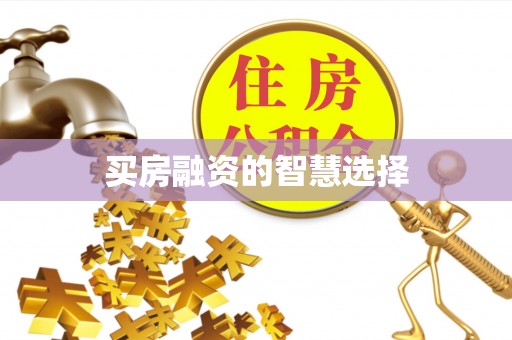 娄星买房融资的智慧选择