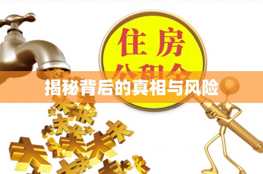 娄星揭秘背后的真相与风险