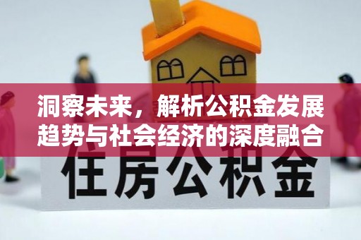 娄星洞察未来，解析公积金发展趋势与社会经济的深度融合