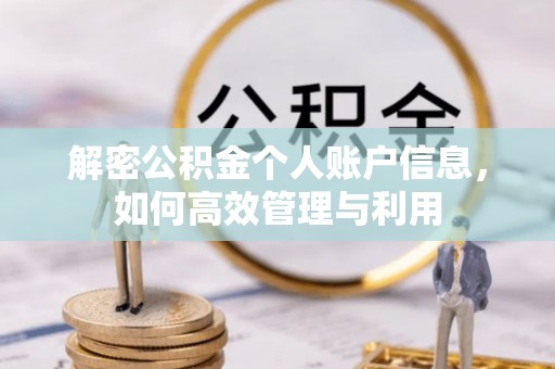 娄星解密公积金个人账户信息，如何高效管理与利用