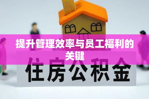 娄星提升管理效率与员工福利的关键