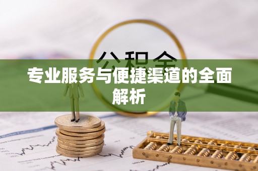 娄星专业服务与便捷渠道的全面解析