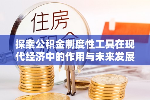 娄星探索公积金制度性工具在现代经济中的作用与未来发展