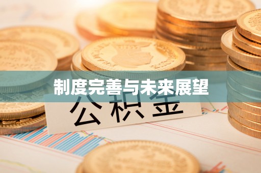 娄星制度完善与未来展望