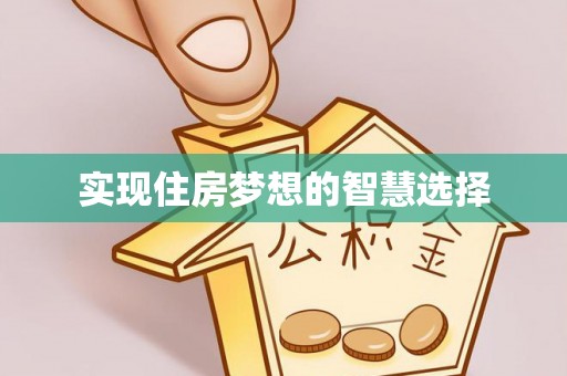 娄星实现住房梦想的智慧选择