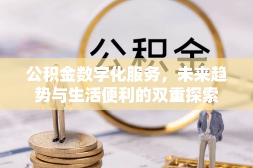 娄星公积金数字化服务，未来趋势与生活便利的双重探索