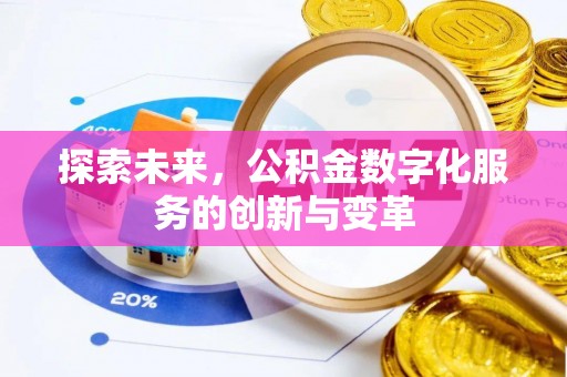 娄星探索未来，公积金数字化服务的创新与变革
