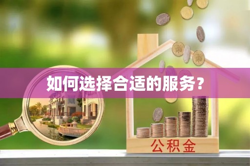 娄星如何选择合适的服务？