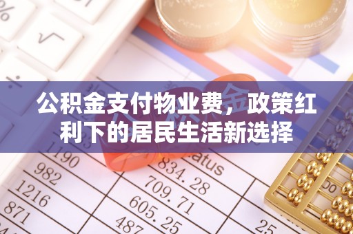 娄星公积金支付物业费，政策红利下的居民生活新选择