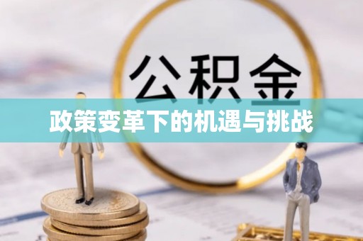娄星政策变革下的机遇与挑战