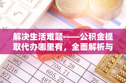 娄星解决生活难题——公积金提取代办哪里有，全面解析与服务推荐