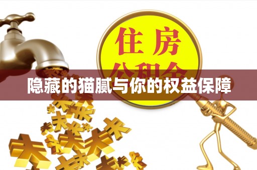 娄星隐藏的猫腻与你的权益保障