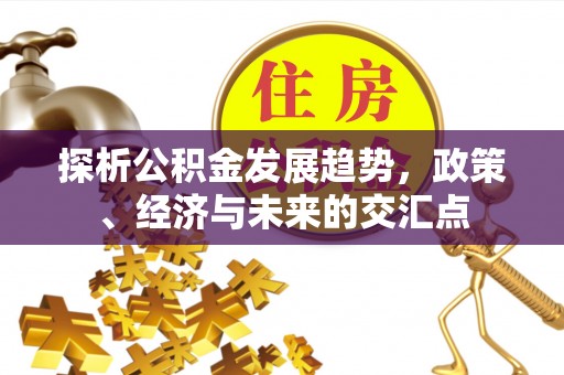 娄星探析公积金发展趋势，政策、经济与未来的交汇点