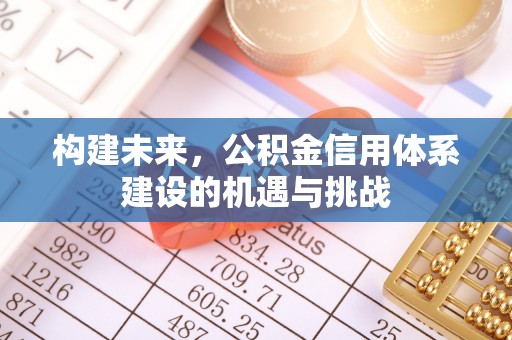 娄星构建未来，公积金信用体系建设的机遇与挑战