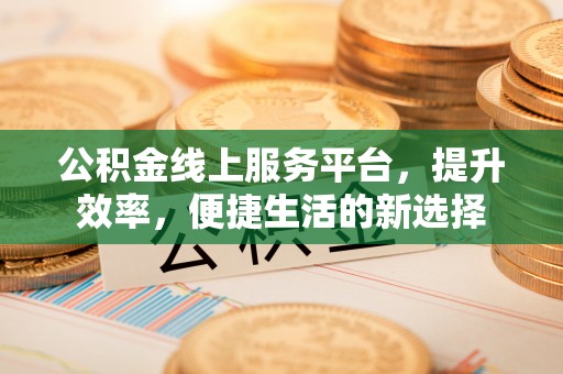 娄星公积金线上服务平台，提升效率，便捷生活的新选择