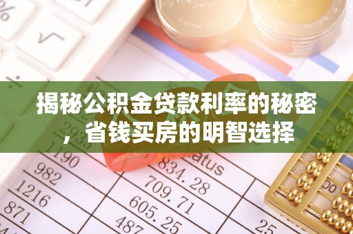娄星揭秘公积金贷款利率的秘密，省钱买房的明智选择