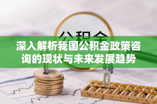 娄星深入解析我国公积金政策咨询的现状与未来发展趋势