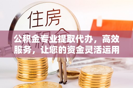 娄星公积金专业提取代办，高效服务，让您的资金灵活运用
