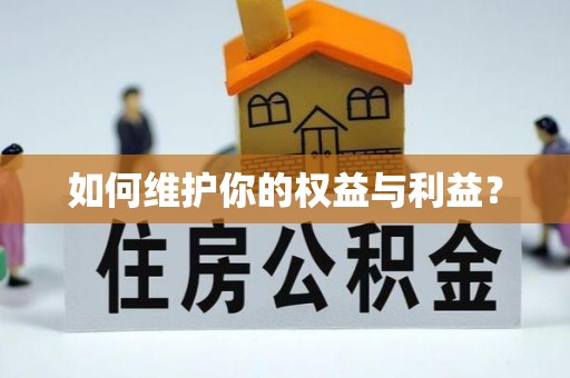 娄星如何维护你的权益与利益？