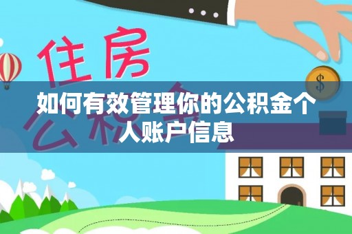 娄星如何有效管理你的公积金个人账户信息