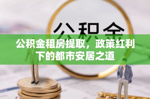 娄星公积金租房提取，政策红利下的都市安居之道