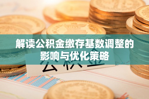 娄星解读公积金缴存基数调整的影响与优化策略
