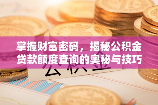 娄星掌握财富密码，揭秘公积金贷款额度查询的奥秘与技巧