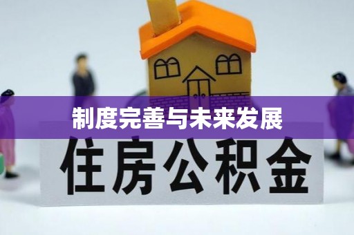 娄星制度完善与未来发展