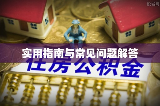 娄星实用指南与常见问题解答