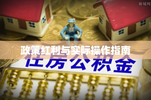 娄星政策红利与实际操作指南