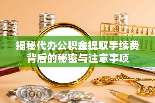 娄星揭秘代办公积金提取手续费背后的秘密与注意事项