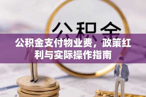 娄星公积金支付物业费，政策红利与实际操作指南