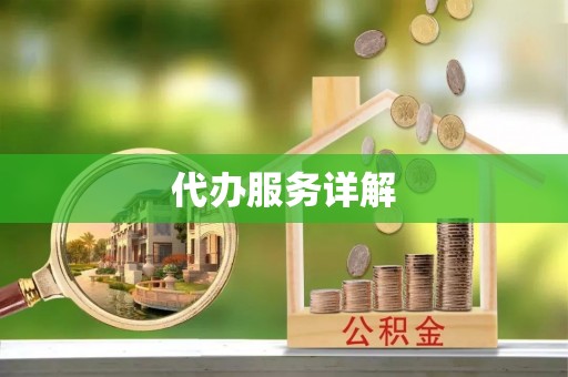 娄星代办服务详解