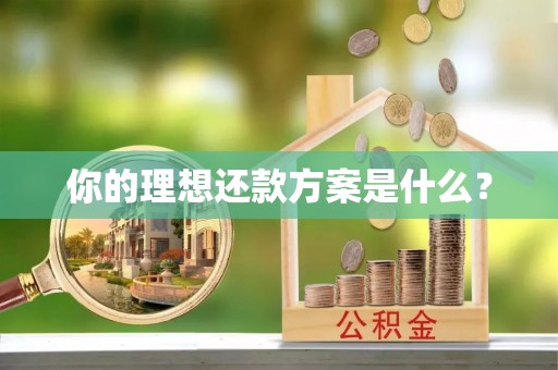娄星你的理想还款方案是什么？