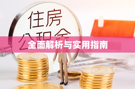娄星全面解析与实用指南