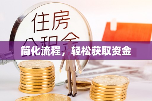 娄星简化流程，轻松获取资金