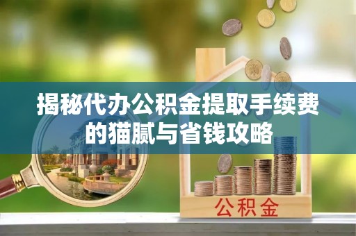 娄星揭秘代办公积金提取手续费的猫腻与省钱攻略