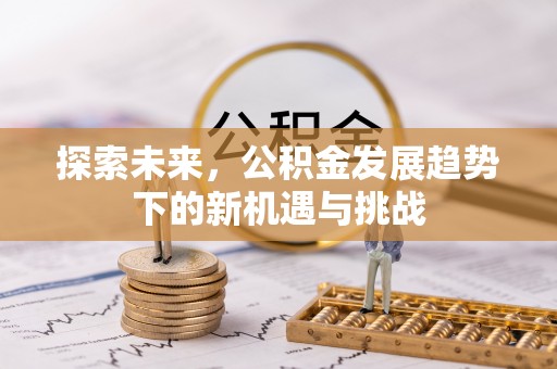 娄星探索未来，公积金发展趋势下的新机遇与挑战