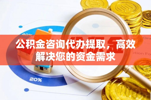 娄星公积金咨询代办提取，高效解决您的资金需求