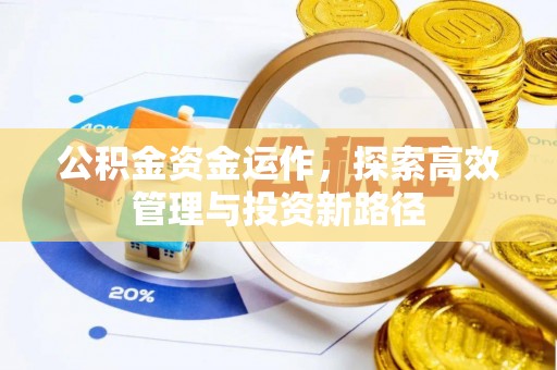 娄星公积金资金运作，探索高效管理与投资新路径