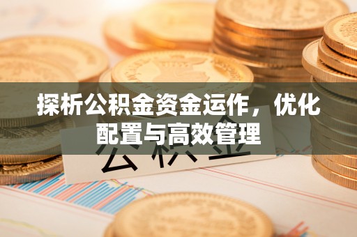 娄星探析公积金资金运作，优化配置与高效管理