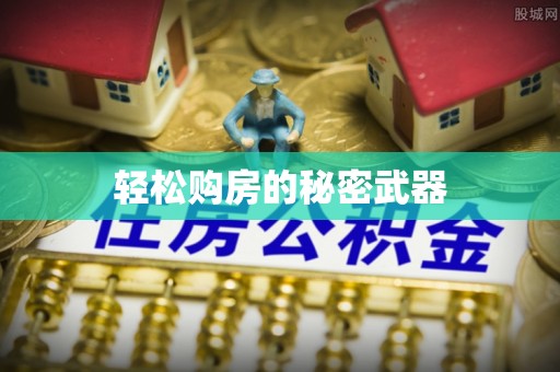 娄星轻松购房的秘密武器