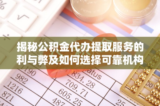 娄星揭秘公积金代办提取服务的利与弊及如何选择可靠机构