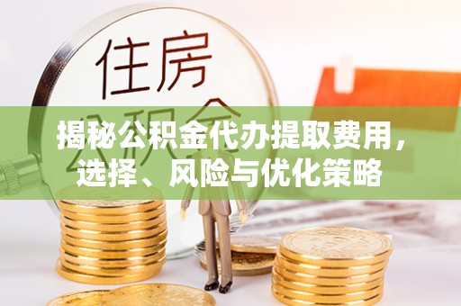 娄星揭秘公积金代办提取费用，选择、风险与优化策略