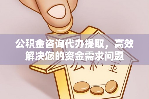 娄星公积金咨询代办提取，高效解决您的资金需求问题