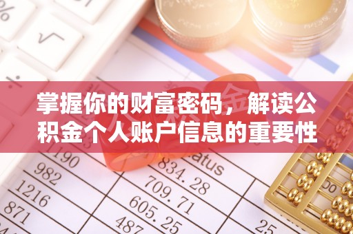 娄星掌握你的财富密码，解读公积金个人账户信息的重要性