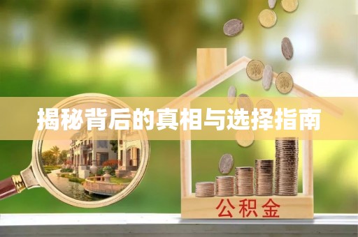 娄星揭秘背后的真相与选择指南