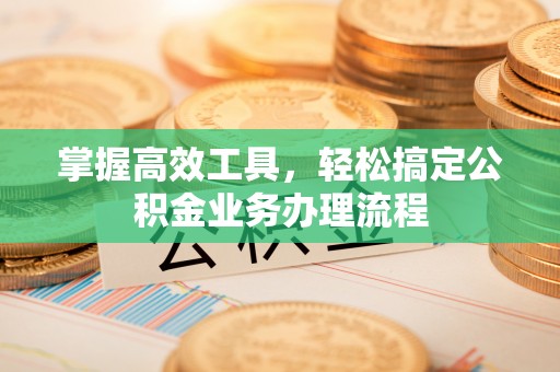 娄星掌握高效工具，轻松搞定公积金业务办理流程