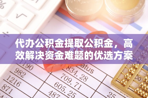 娄星代办公积金提取公积金，高效解决资金难题的优选方案